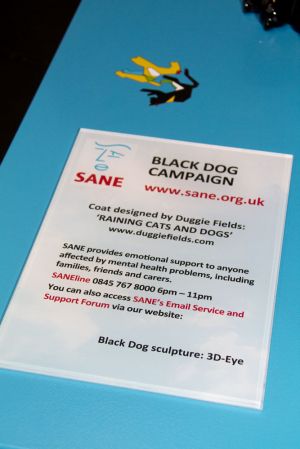 black dog campaign 1 sm.jpg